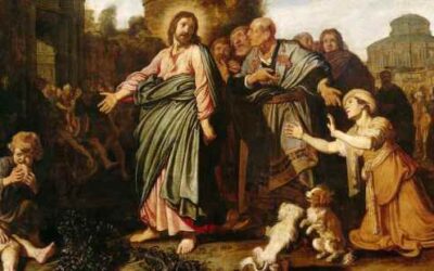 Reflection for the 17th Sunday in Ordinary Time, Year A