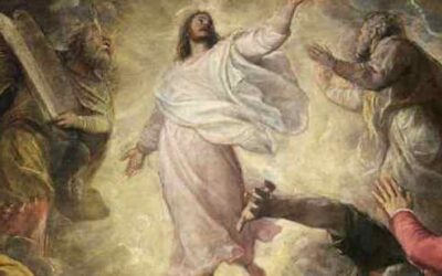 Reflection for the Feast of the Transfiguration 6th August 2023, Year A