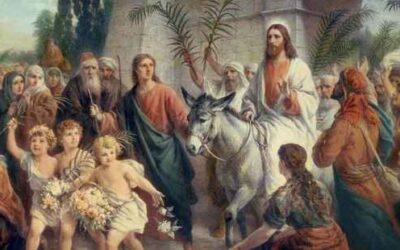 Reflection for Palm Sunday, Year B