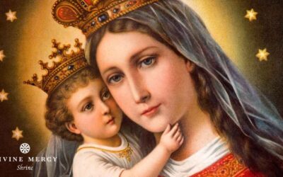 THE VIRGIN MARY IN THE KINGDOM OF THE DIVINE WILL