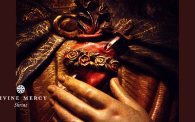 12  Promises  of  the  Sacred  Heart